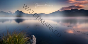 Allgäu 8743 See mit Morgennebel (2:1)