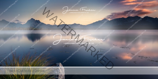 Allgäu 8743 See mit Morgennebel (2:1)
