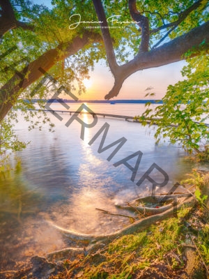 Ammersee Überschwemmung 8229 HDR