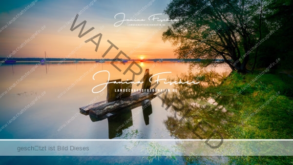 Ammersee Überschwemmung 8479 HDR