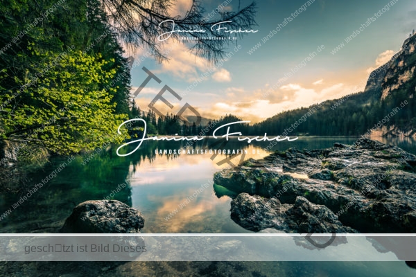 Wildsee 03675