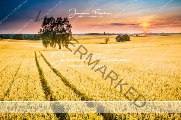 Sommergefühl Drohne 0163