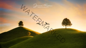 Schweiz Abendflug 0089d