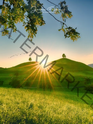 Hügel im Sonnenuntergang 0176