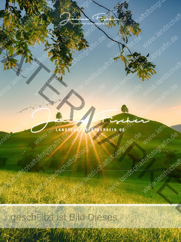 Hügel im Sonnenuntergang 0176