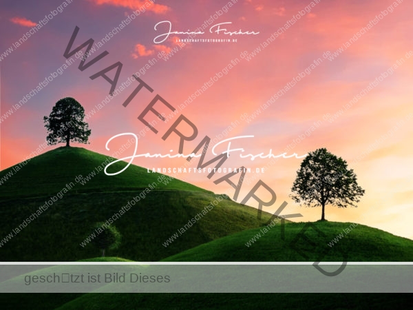Schweiz 3 Bäume 0410e1