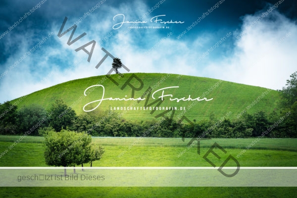 Schweiz Baum 9798