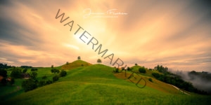 Schweiz Bäume 9866-3