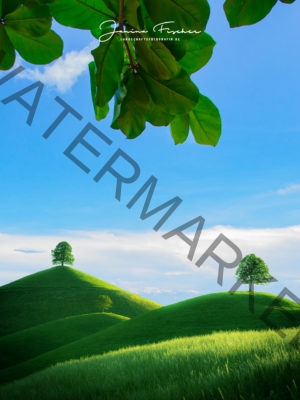 Schweizer Almwiese 9966-1