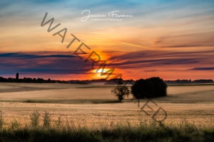 Gilching Wiese Sonnenuntergang 4955