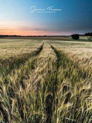 Gilching Sonnenuntergang 5021