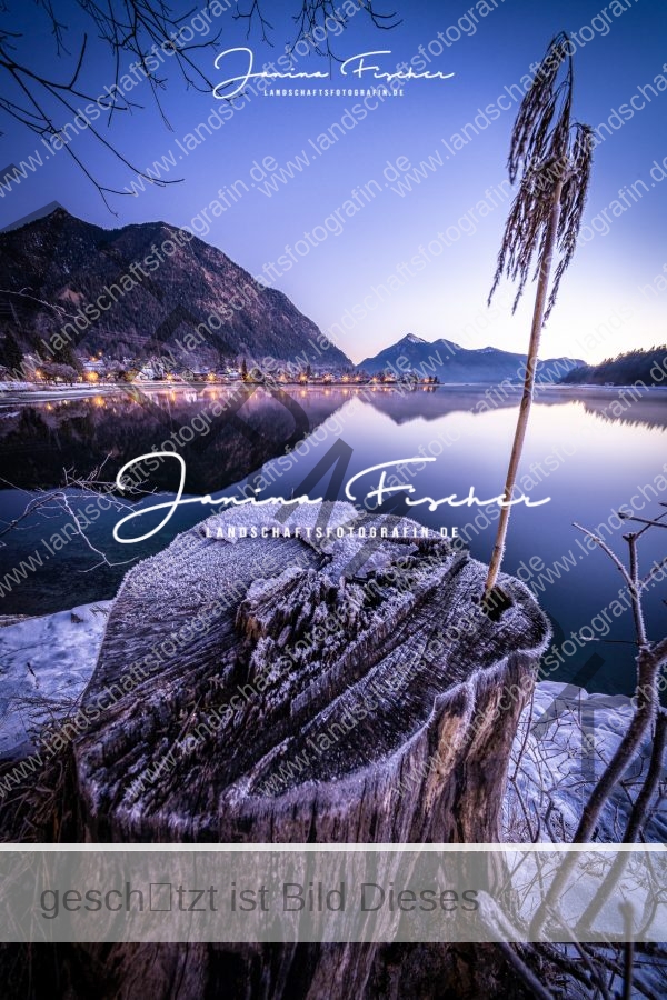 Bergsee 5485