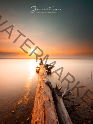 See Schwemmholz 5614