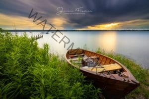 Balsam für die Seele 1151