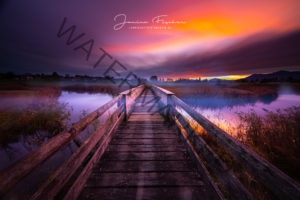 Brücke im Morgennebel-2566