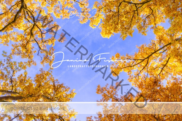 Allee-Seefeld-2205
