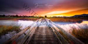 Brücke im Morgennebel-2570