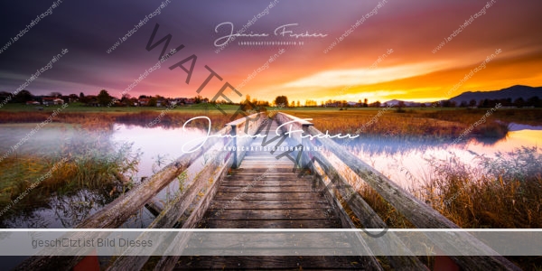 Brücke im Morgennebel-2570