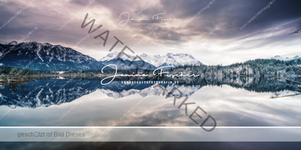 Winterwonderland-5330