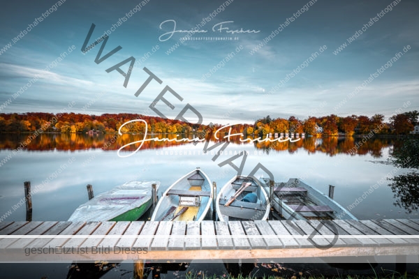 Boote am Steg-2469