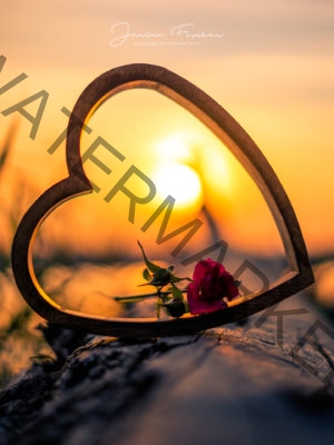 Herz im Sonnenuntergang-7656