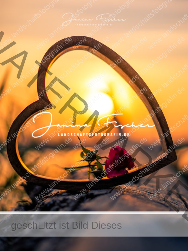 Herz im Sonnenuntergang-7656