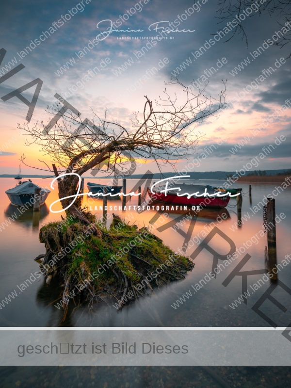 Inselbaum-2583