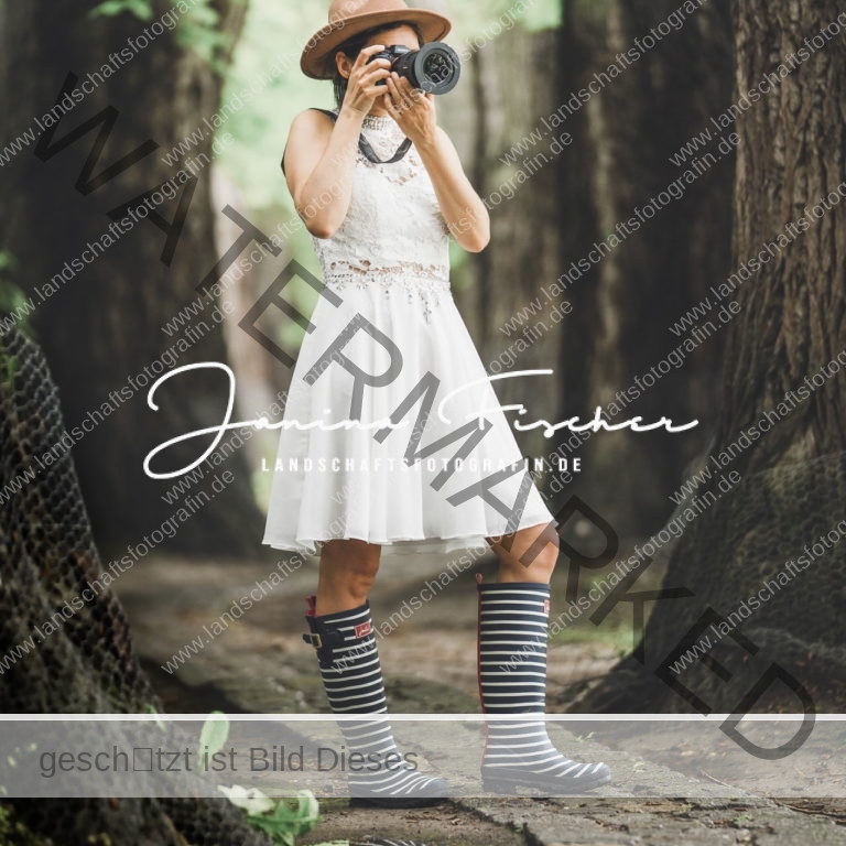 Fotografin-allee-min Alle Oberer Wöhrd Regensburg